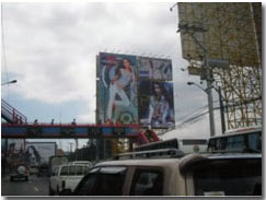 edsa guadalupe site